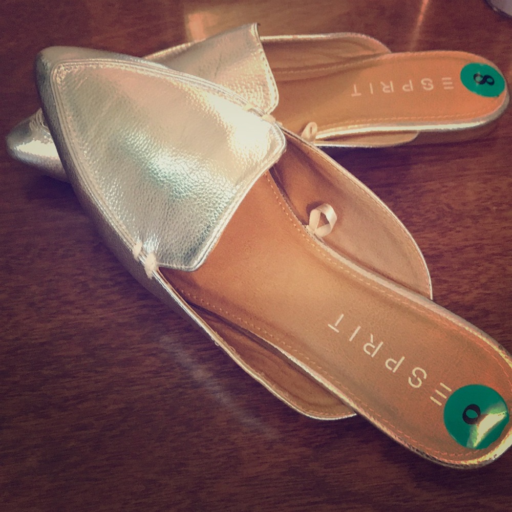 Silver pointed toe slides